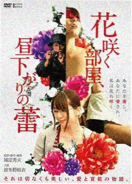 蜜桃成熟时未删减修复画质对照图